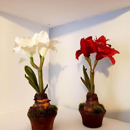 Apartamento Cortadura Beach Kadyks Zewnętrze zdjęcie